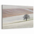 Contemporary Landscape Wall Art - Winter Tree in Textured Fields