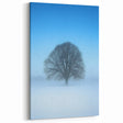 Solitary Tree - Modern Abstract Nature Landscape Art