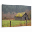 Rustic Moss-Covered Barn - Barn Wall Art for Farmhouse and Country Decor