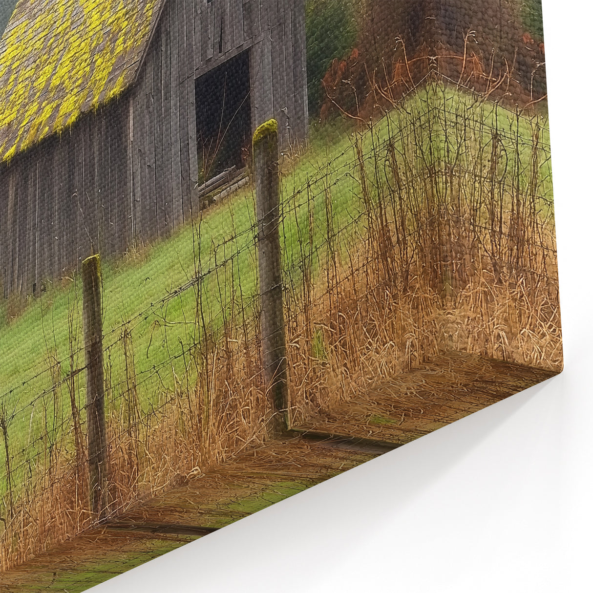 Rustic Moss-Covered Barn - Barn Wall Art for Farmhouse and Country Decor