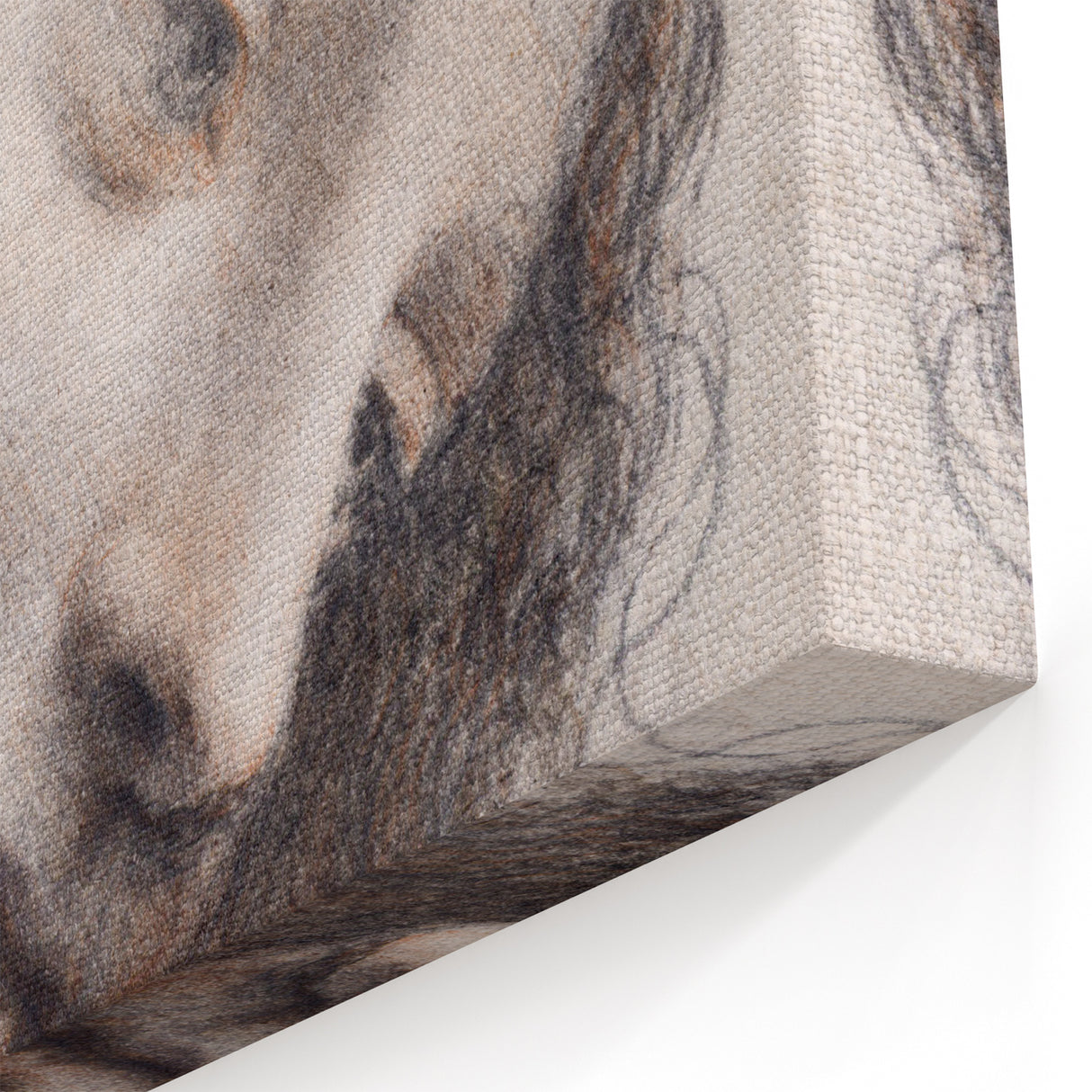 Leonardo da Vinci: The Head of the Virgin Renaissance Art Print