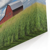 Red Barn in Summer Fields - Scenic Countryside Wall Art for Farmhouse Decor