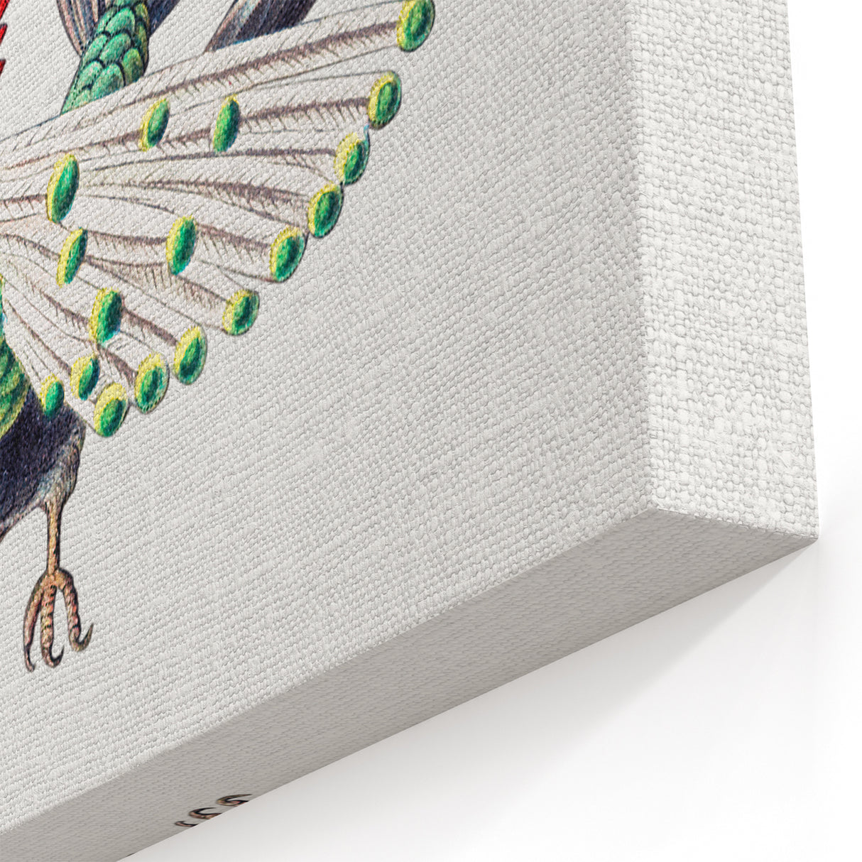 Modern Wall Art - Vibrant Hummingbird Illustration in Bold Colors