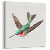 Modern Wall Art - Graceful Hummingbird Illustration with Vibrant Detail