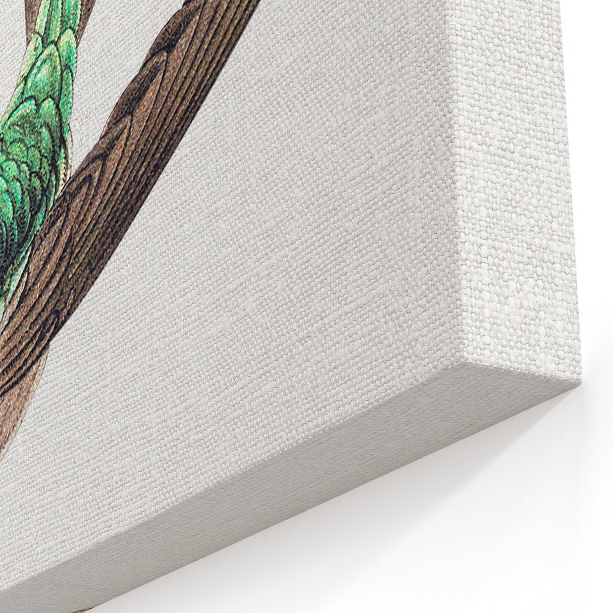 Modern Wall Art - Graceful Hummingbird Illustration with Vibrant Detail