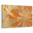 Abstract Nature Closeups Wall Art - Orange and Gold Canvas Print