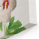 Neoclassical Art Prints: Hibiscus Elegance - Pierre Redouté Classic