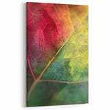 Blooming Flowers Artwork - Botanical Wall Decor Close-Up