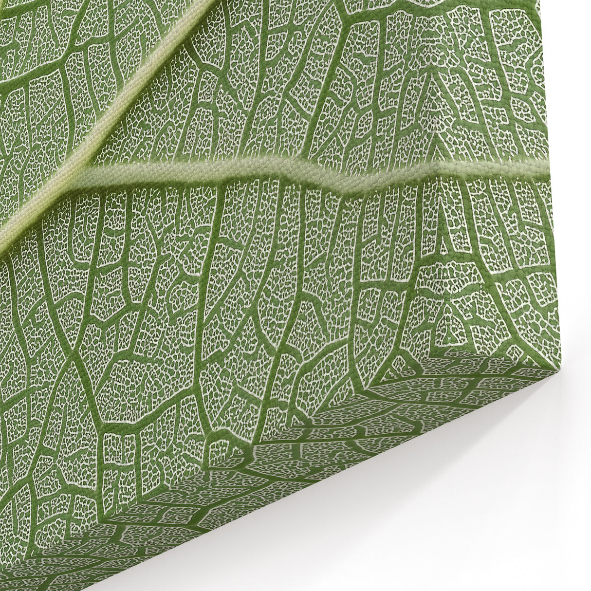 Botanical Wall Decor - Intricate Leaf Vein Close-Up Art