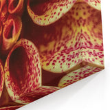 Blooming Flowers Artwork - Nature Close-Up of Vibrant Dahlia Print
