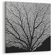 Black and White Wall Art - Nature Inspired Close-Up Branch Pattern