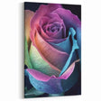 Floral Wall Art - Nature Close-Up of Vibrant Rainbow Rose Print