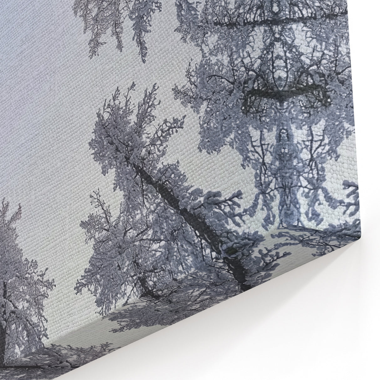 Chilled Beauty Artwork – Winter Wonderland Ice and Frost Art