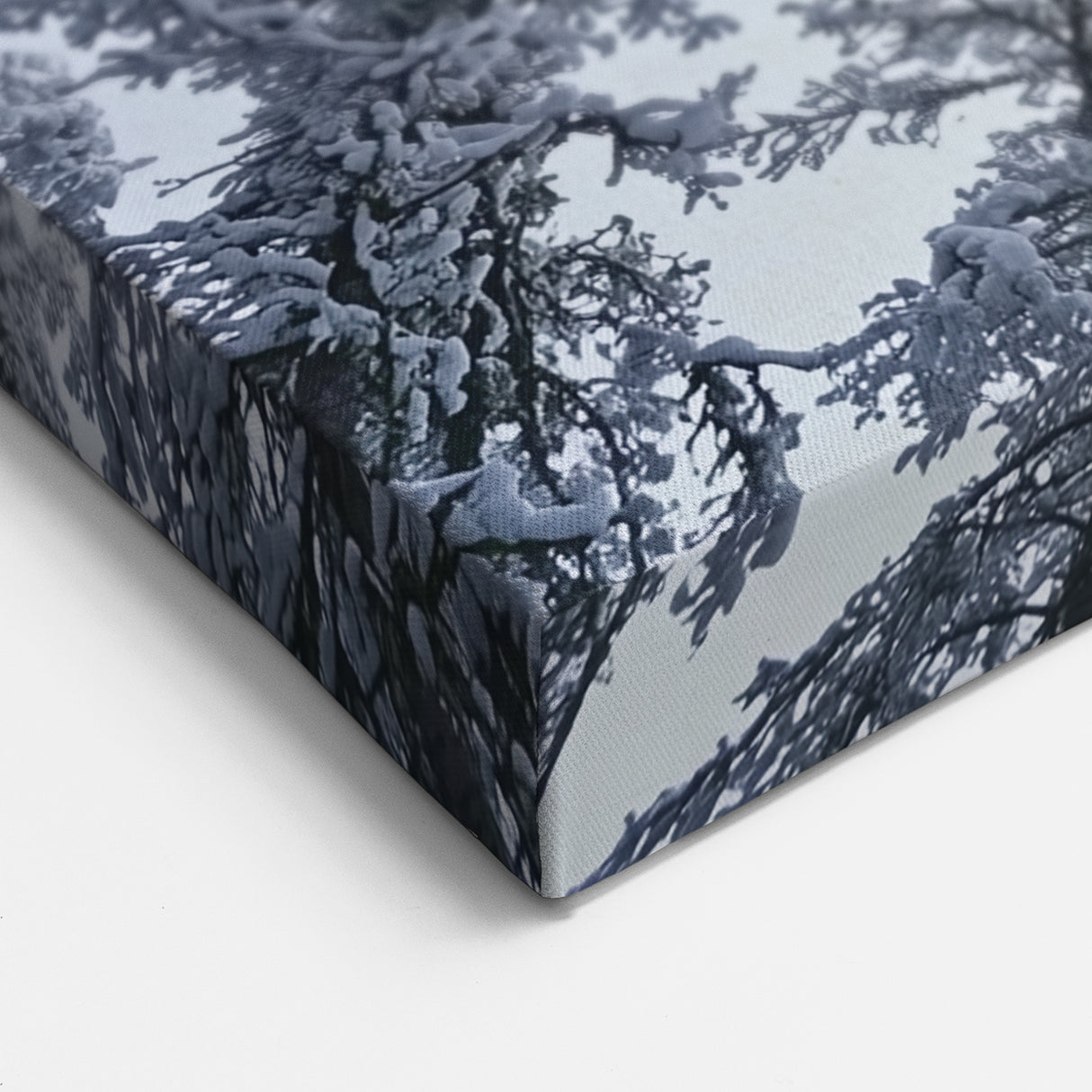 Chilled Beauty Artwork – Winter Wonderland Ice and Frost Art