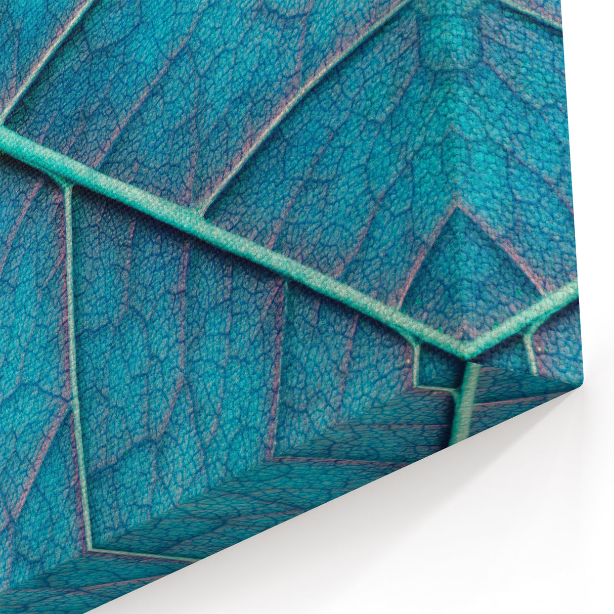Nature Leaf Photography Art on Canvas – Botanical Leaf Close-Up