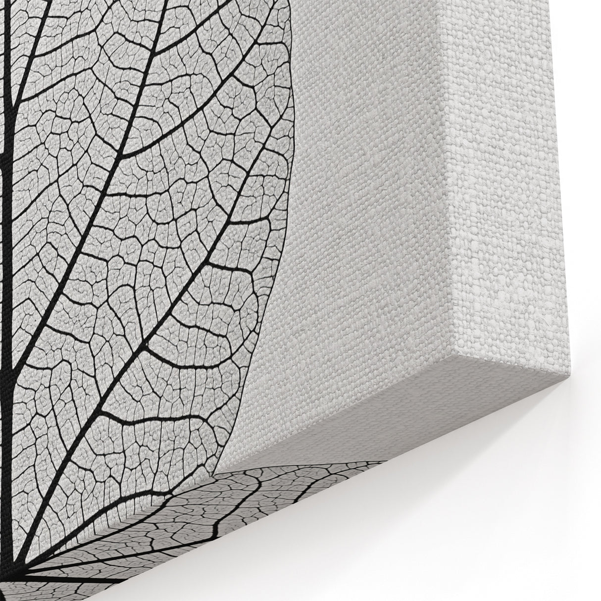 Minimalist Black and White Leaf Wall Art – Botanical Line Design