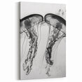 Scenic Water Wall Art - Black and White Jellyfish Close Up