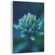 Elegant Water Wall Art - Black and White Jellyfish Photography
