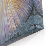 Nature Closeups Canvas Print - Iridescent Mermaid Tail Wall Art
