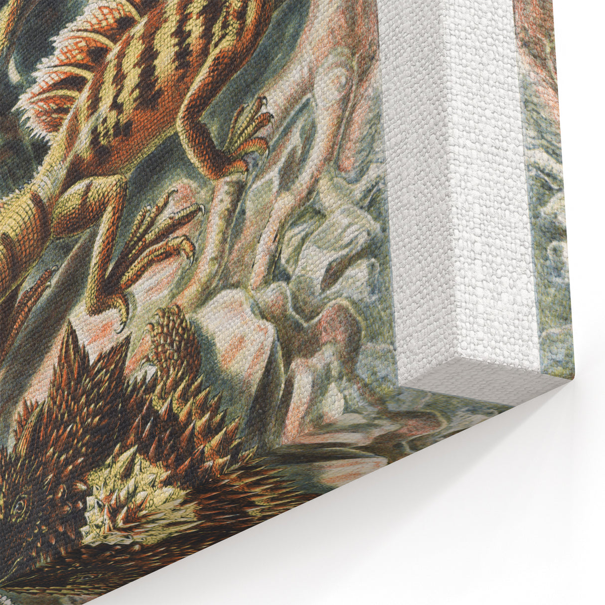 Lacertilia Modern Wall Art – Intricate Natural History Decor