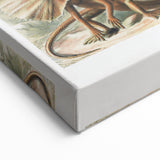 Lacertilia Modern Wall Art – Intricate Natural History Decor