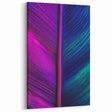Botanical Wall Art Acrylic Glass - Vibrant Feather Nature Closeup