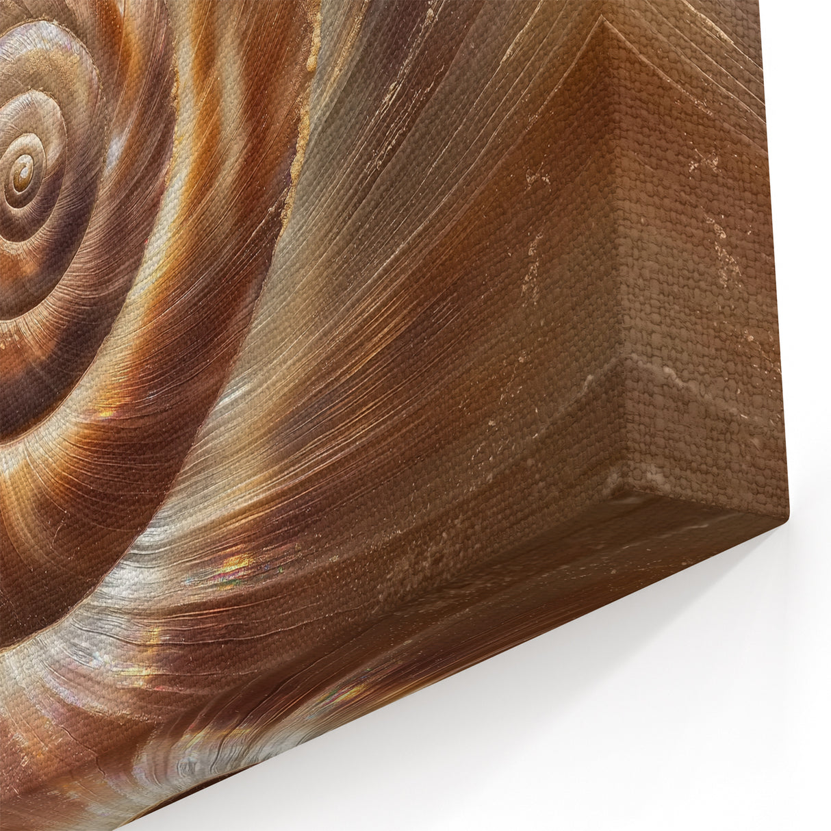 Framed Nature Photography Prints - Spiral Shell Wall Art Closeup