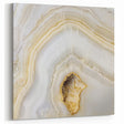 Natural Elements Wall Art - Nature Closeups Canvas & Acrylic Prints