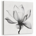 Black and White Lotus Abstract Art - Modern Monochrome Wall Decor