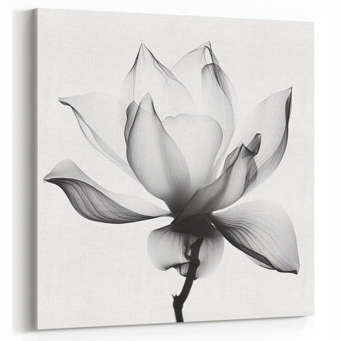 Black and White Lotus Abstract Art - Modern Monochrome Wall Decor