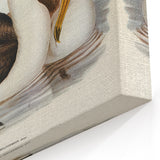 Romanticism Art: Black-Browed Albatross by Elizabeth Gould