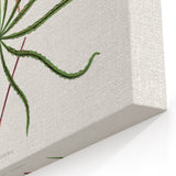 Romanticism Art: "Aralia Veitchii Leaf" by Alexander Lydon