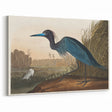 Blue Crane Heron Romanticism Art - Historical Romantic Canvas Print