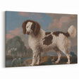 Brown and White Spaniel - Romanticism Dog Portrait by George Stubbs