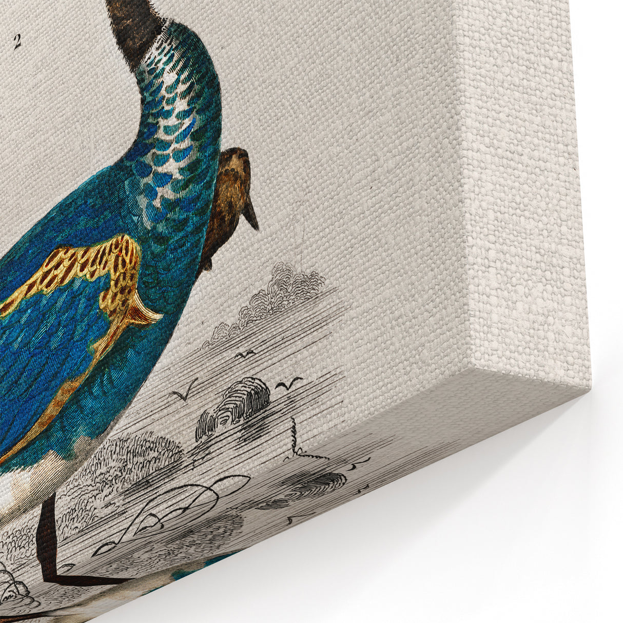 Historical Romanticism Canvas: Exotic Birds - Romantic Art Prints