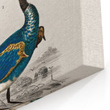 Historical Romanticism Canvas: Exotic Birds - Romantic Art Prints