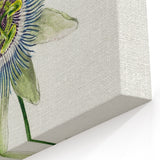 Famous Romantic Era Art: Passion Flower - Romantic Floral Canvas
