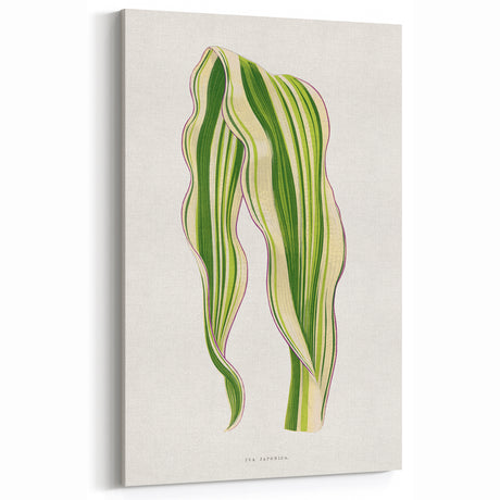 Historical Romanticism Canvas: Green Zea Japonica - Classic Art Prints