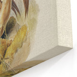 Romanticism Art: Spalding's Orthonyx Bird Canvas Print