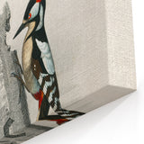 Romanticism Art: Macaw & Woodpecker Bird Illustration Canvas Print