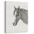 Romanticism Art: Horse Portrait by Jean Bernard Canvas Print