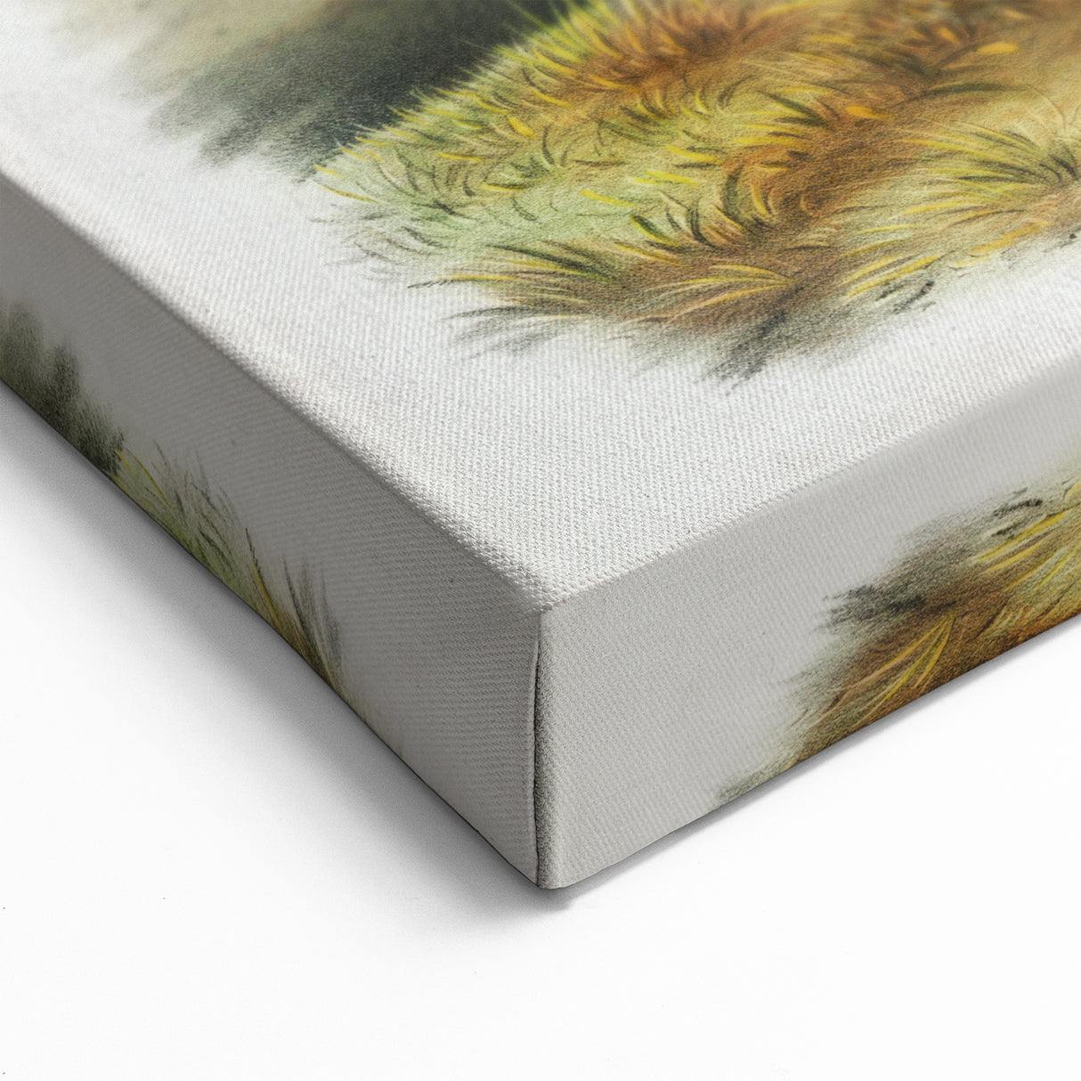Romanticism Art - Rocky Mountain Goat Print by Audubon