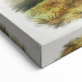 Romanticism Art - Rocky Mountain Goat Print by Audubon