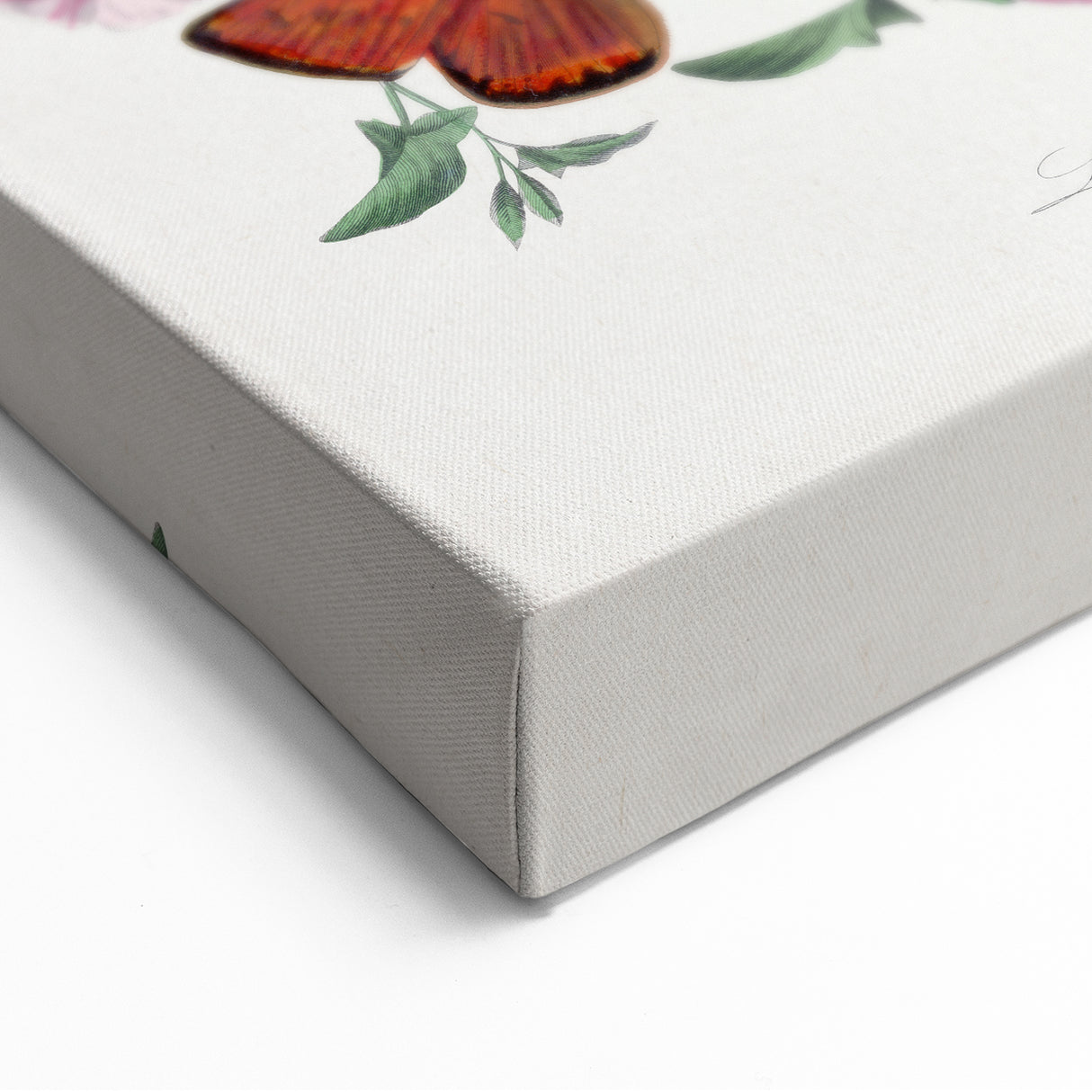 Classic Romantic Paintings - Butterfly & Moth Illustration Wall Art