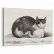 Classic Romantic Paintings - Lying Cat Illustration Wall Art