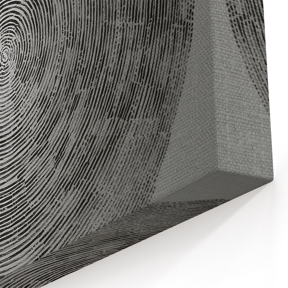 Monochrome Geometric Wall Art - Black and White Circular Line Design