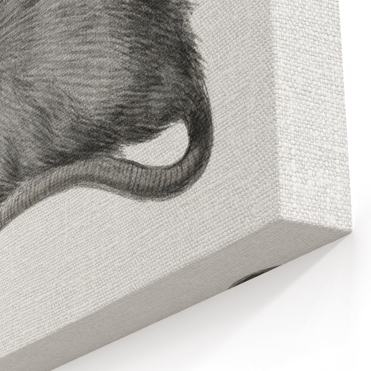 Romanticism Art - Study of a Mouse - Classic Romantic Animal Print
