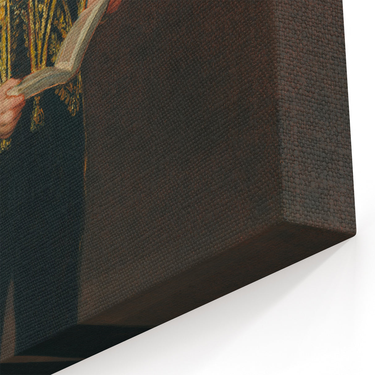 Victor Guye by Goya - Romanticism Art Print on Canvas & Glass