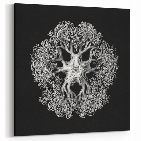 Modern Monochrome Art: Intricate Brittle Star Illustration