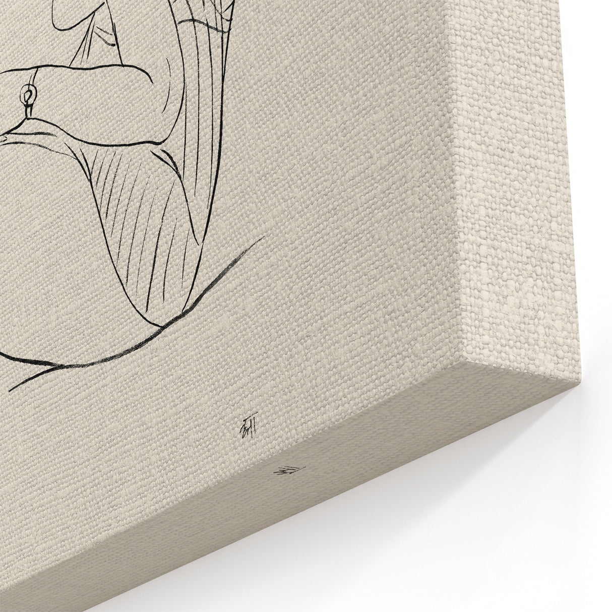 Semi-Nude Seated Woman by Ananda K. Coomaraswamy - Elegant Line Art